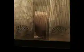 window