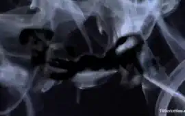 Jesse And Francis - Kink