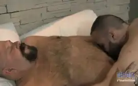 Sexy Bear 3-14