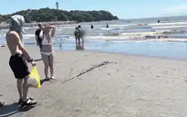 0007154_胸射 フェラチオ パイ射などが含まれている
