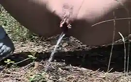 busty blonde teen 18+ pissing in forest