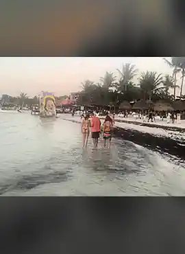 Bikini Watch at Isla Holbox