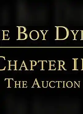 The Boy Dylan Chapter 3 - The Auction