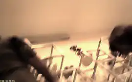Upskirt mexicanas 2