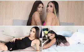 BRAZILIAN TRANSSEXUALS Updates 28th Oct to 1st Nov 24