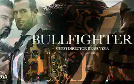 Bullfighter - MENatPLAY