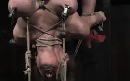 Tied up submissive getting tt treatment