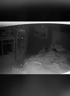 Amateur Wife caught masturbating night vision